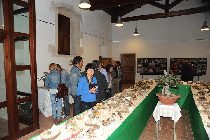 2Mostra Micologica Avola 13.11.2010 (128).JPG